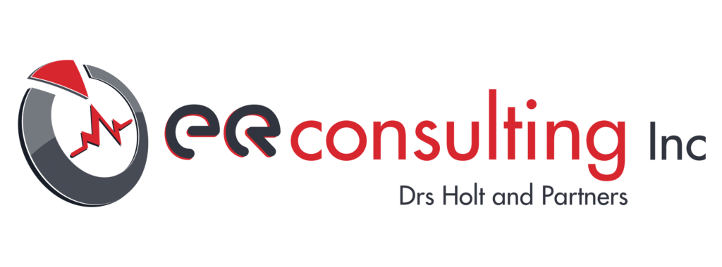 ER Consulting Logo – Expert Emergency Medical Services